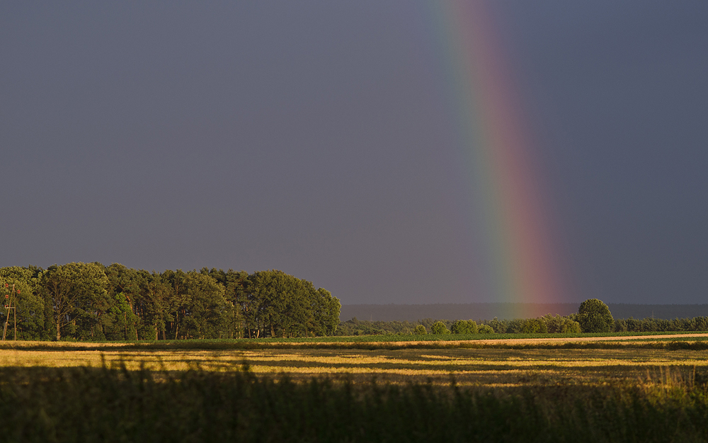 Regenbogen