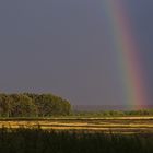 Regenbogen