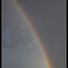 Regenbogen