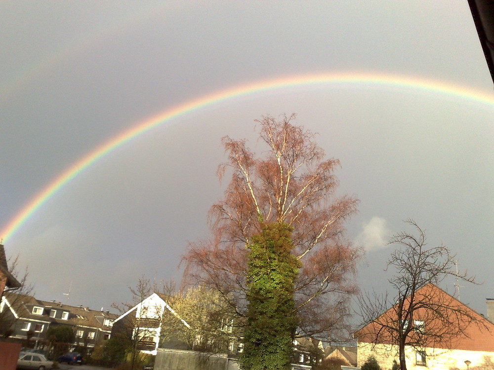 Regenbogen