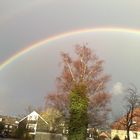 Regenbogen