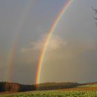 Regenbogen