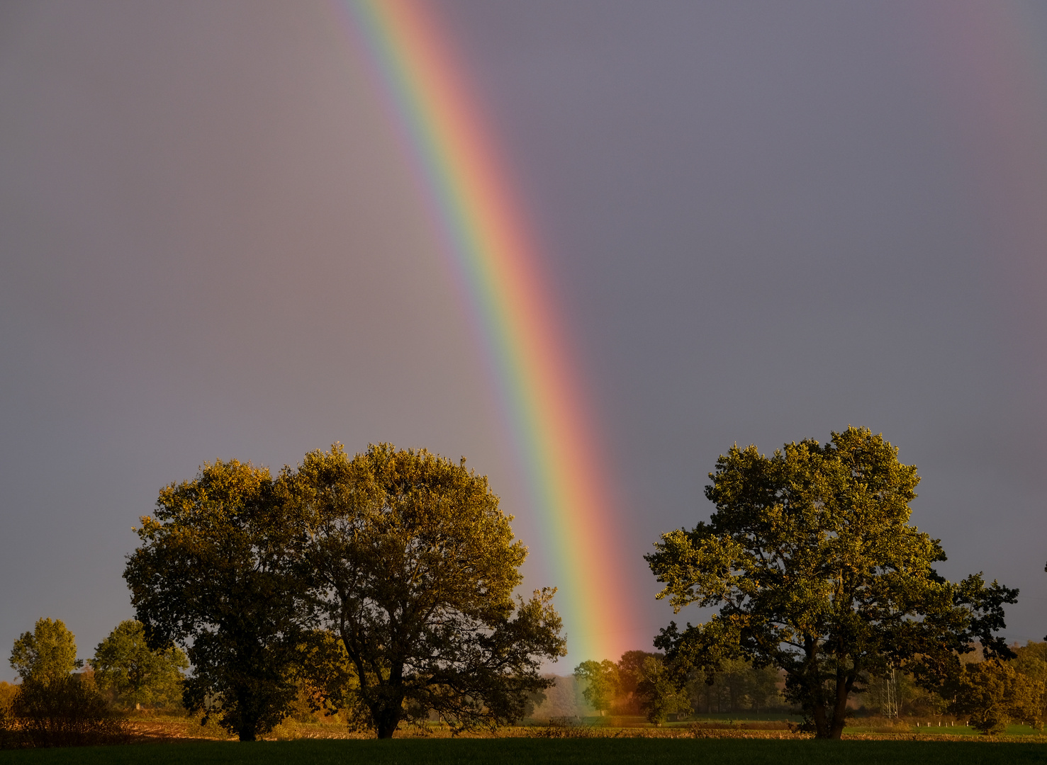 Regenbogen