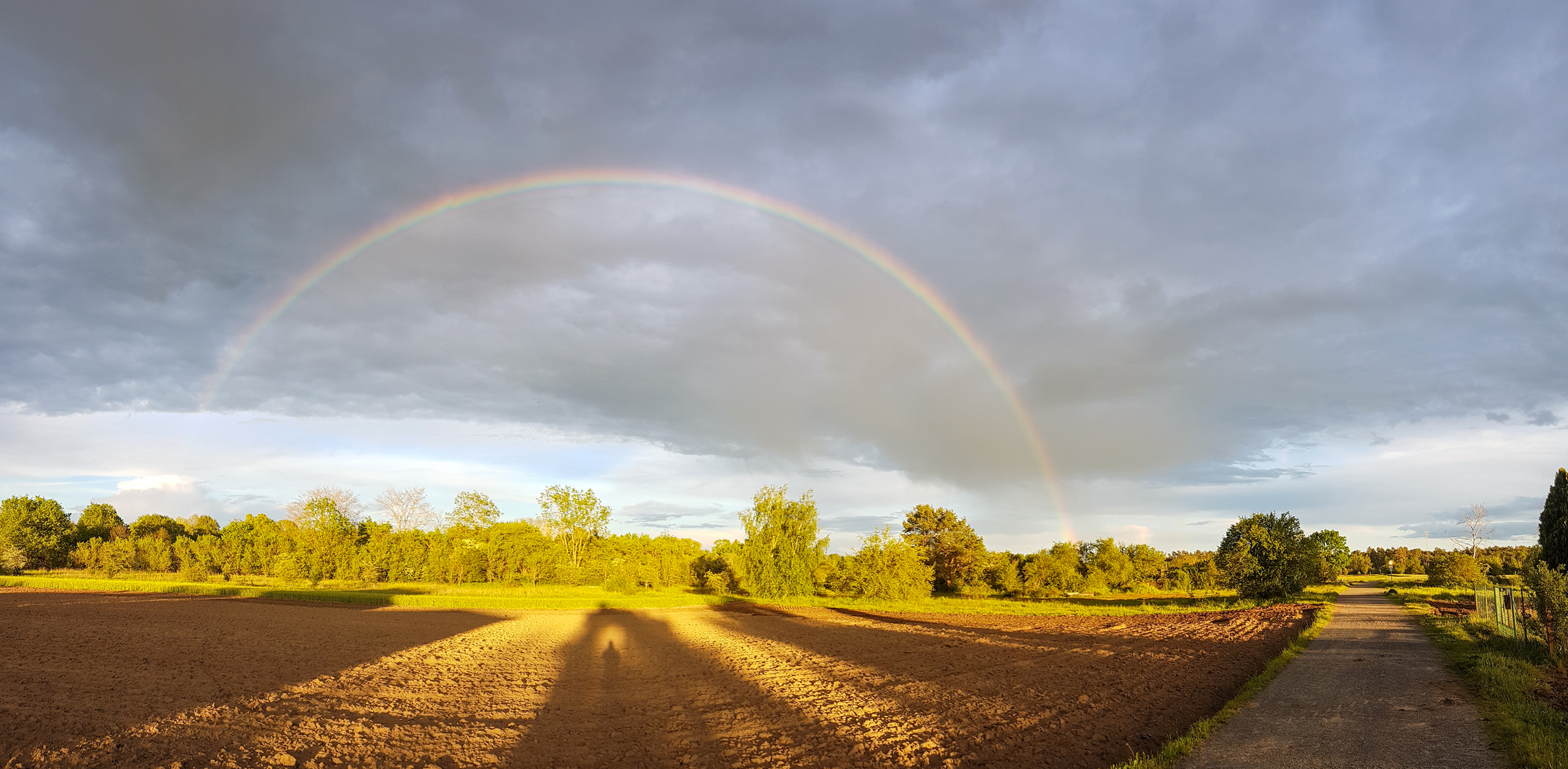 Regenbogen