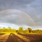 Regenbogen