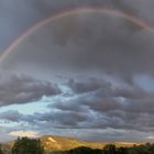 Regenbogen