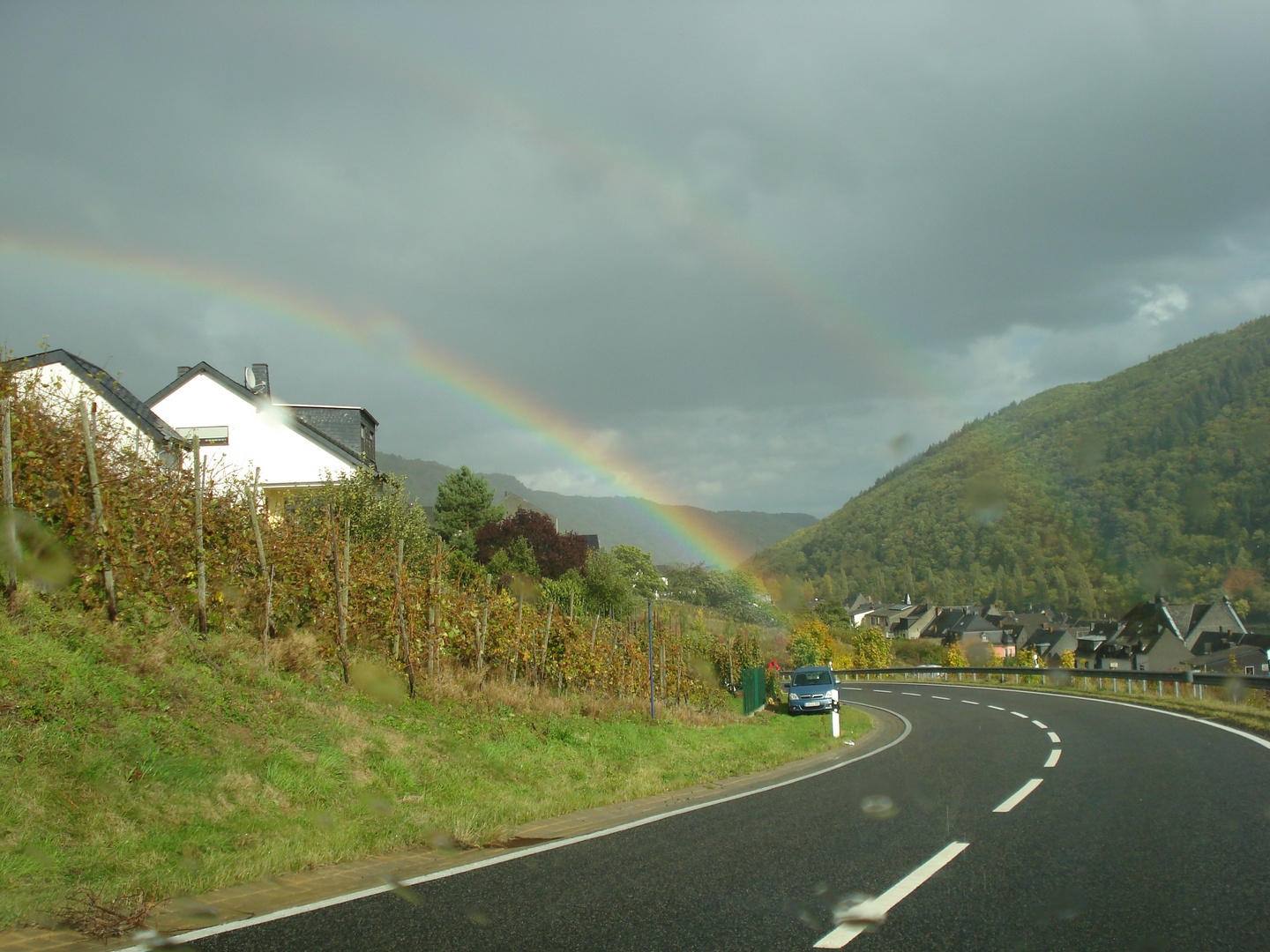 Regenbogen