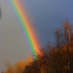 Regenbogen