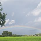 Regenbogen