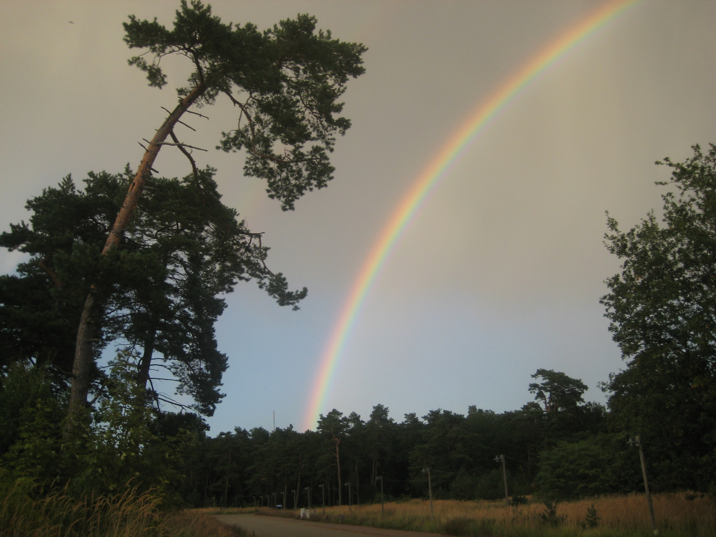 Regenbogen