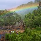 Regenbogen