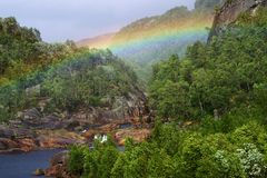 Regenbogen