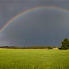 Regenbogen