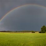 Regenbogen