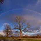 Regenbogen