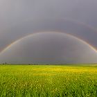 Regenbogen