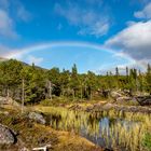 Regenbogen