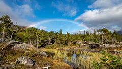 Regenbogen