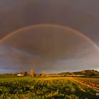 Regenbogen 