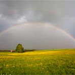 Regenbogen