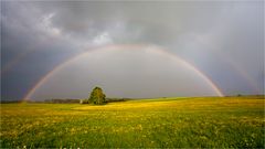 Regenbogen