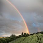 Regenbogen