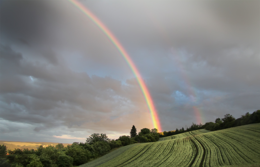 Regenbogen