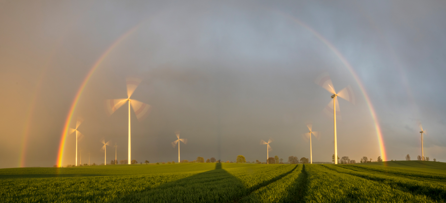 Regenbogen