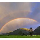 Regenbogen