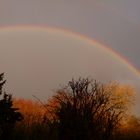 Regenbogen....