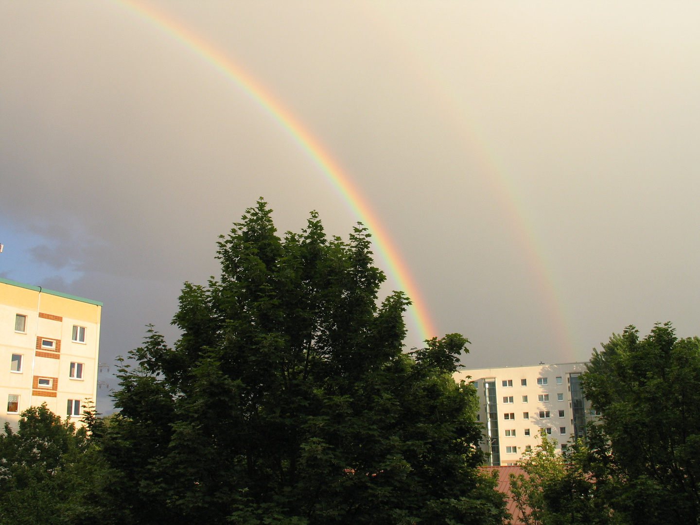 Regenbogen