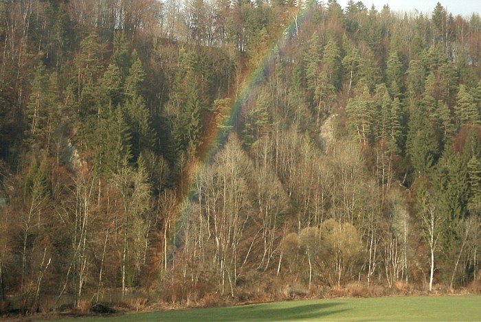 Regenbogen