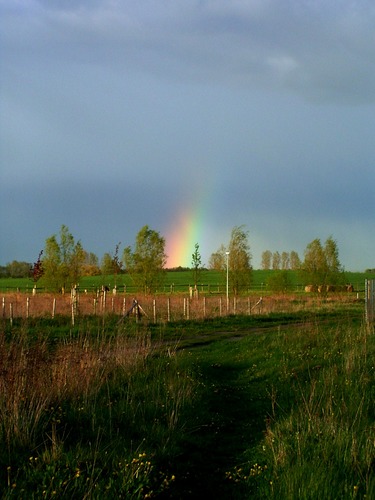 Regenbogen