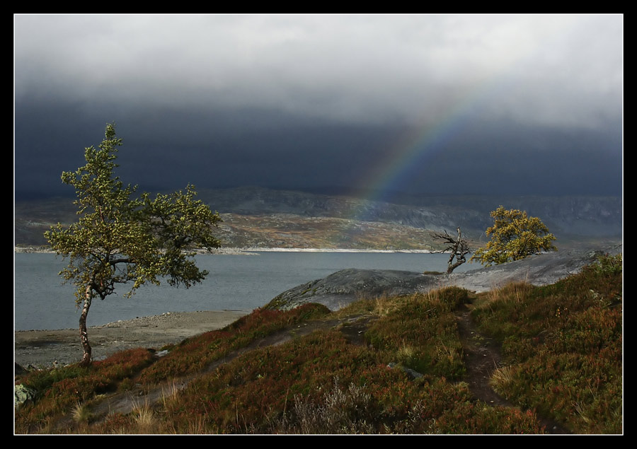 Regenbogen