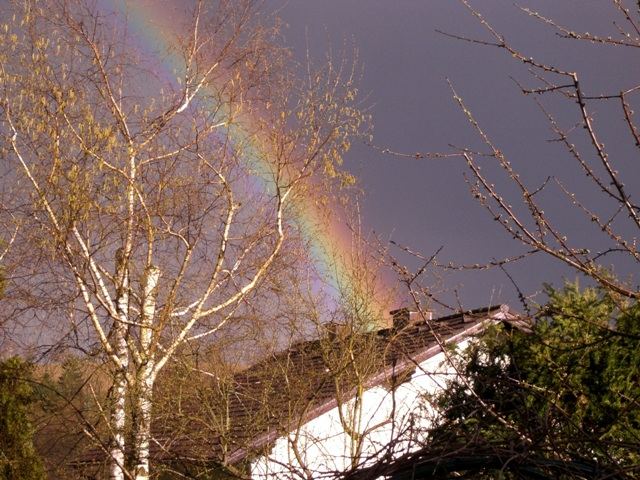 Regenbogen