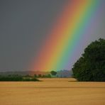 Regenbogen