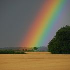 Regenbogen