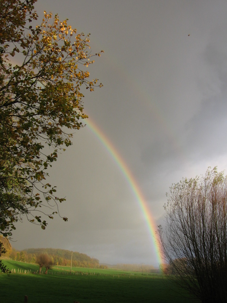 Regenbogen