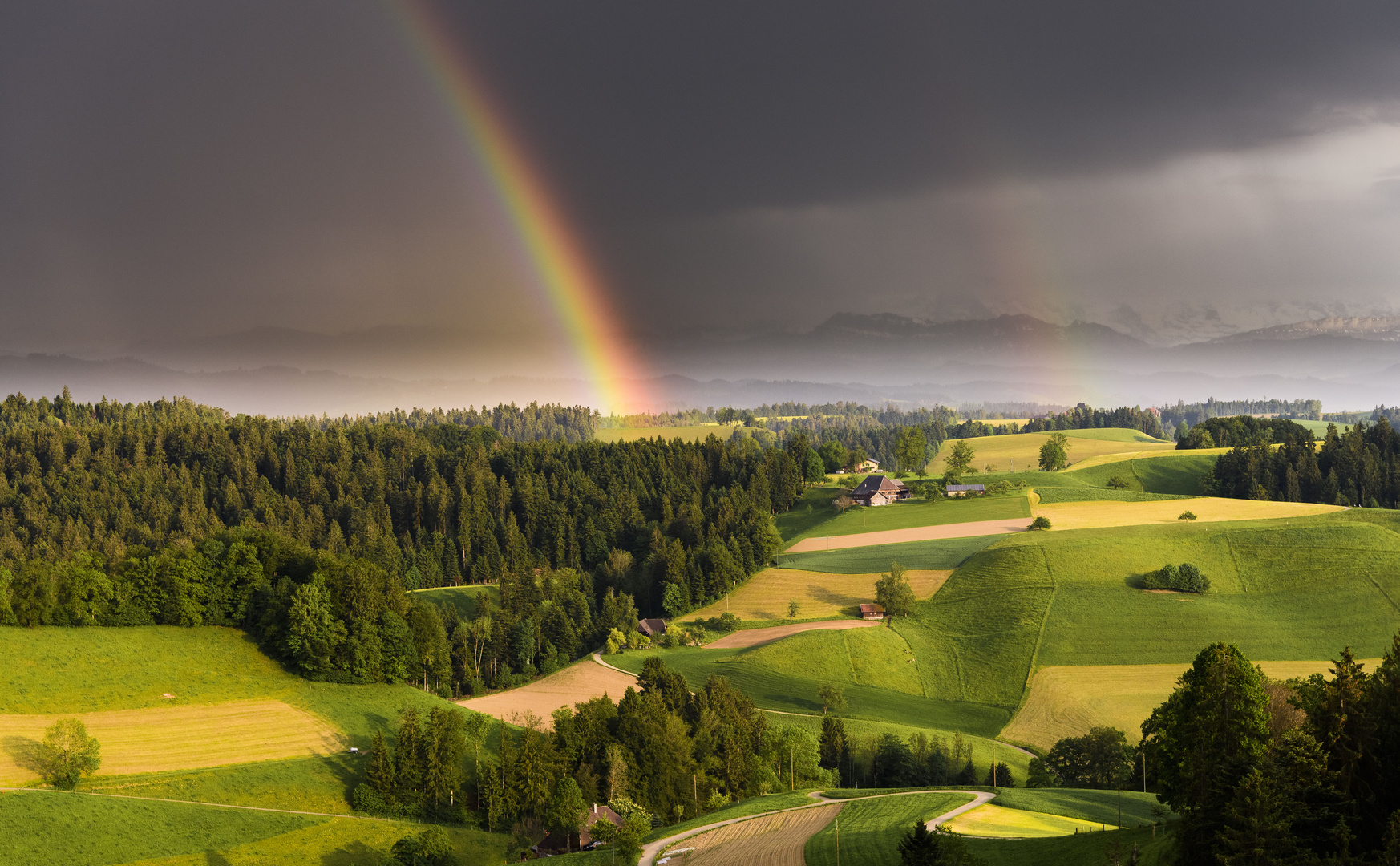 Regenbogen