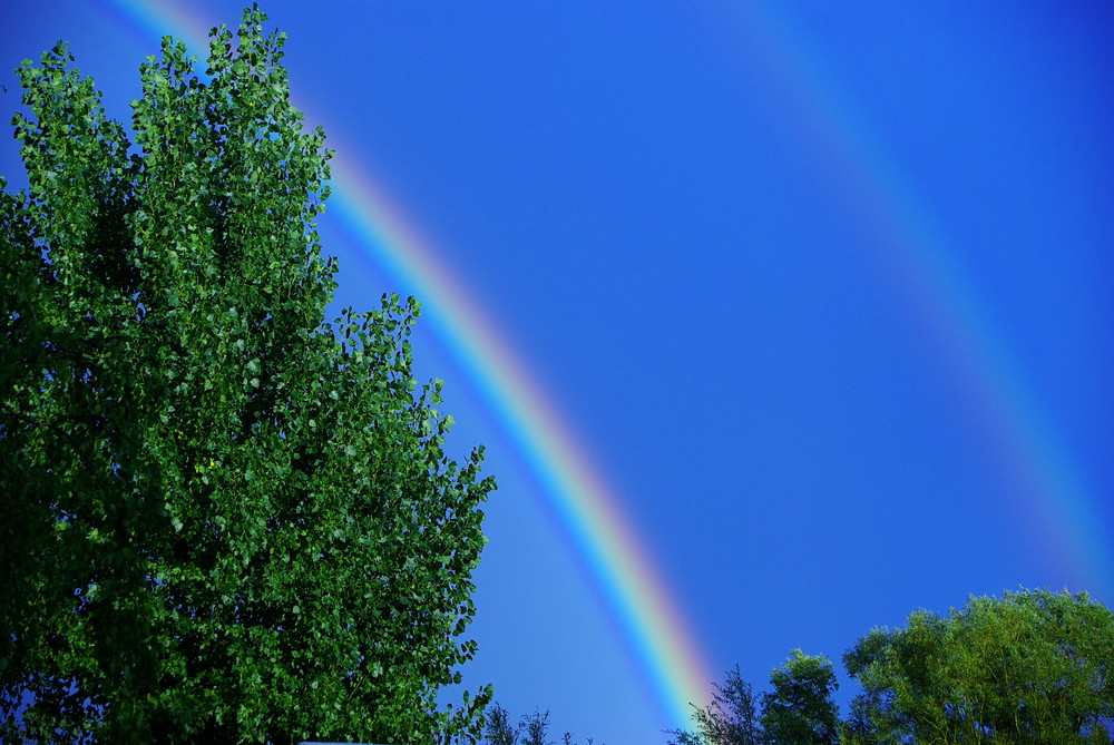 Regenbogen