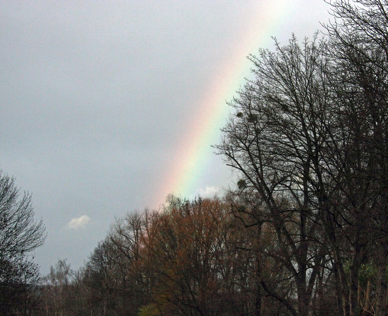 Regenbogen