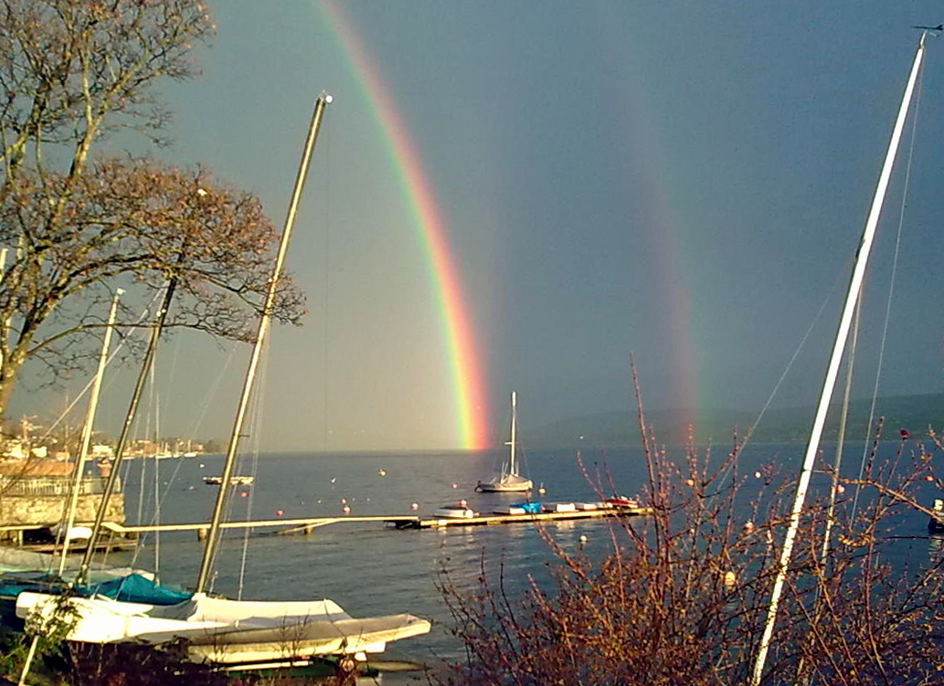 Regenbogen