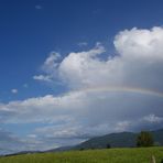 Regenbogen