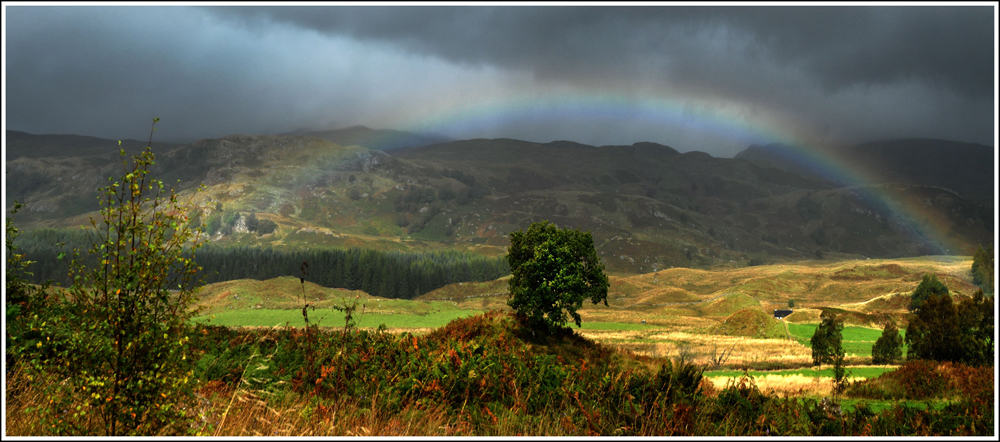 Regenbogen