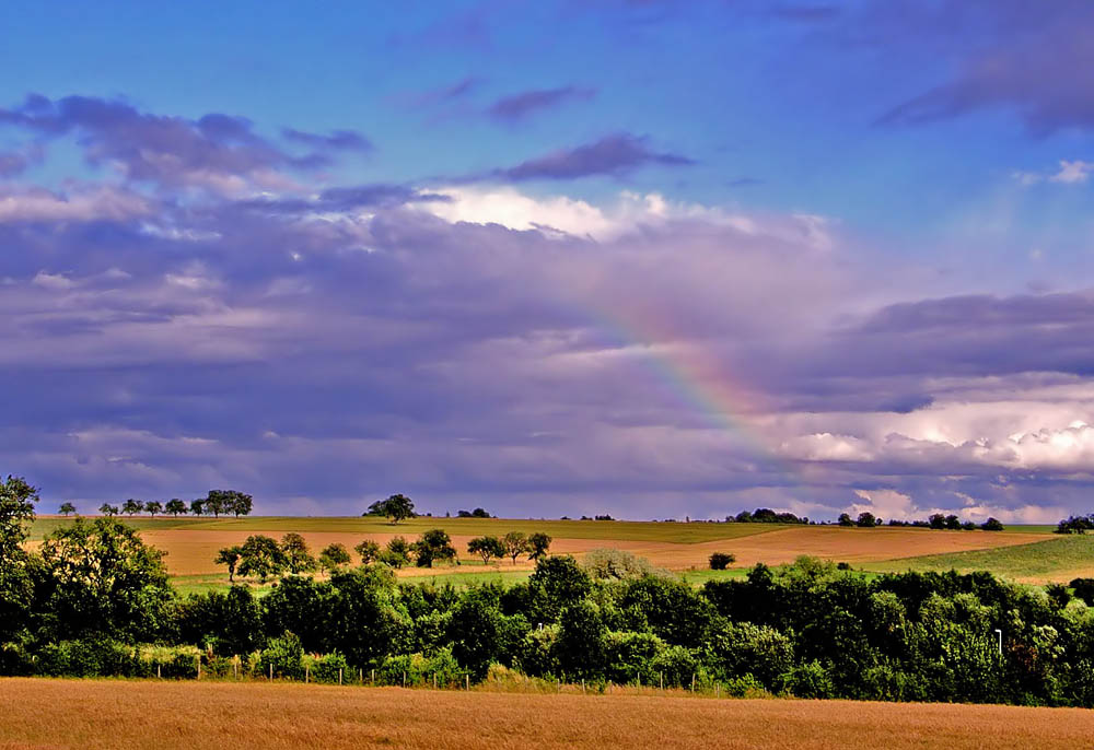 Regenbogen