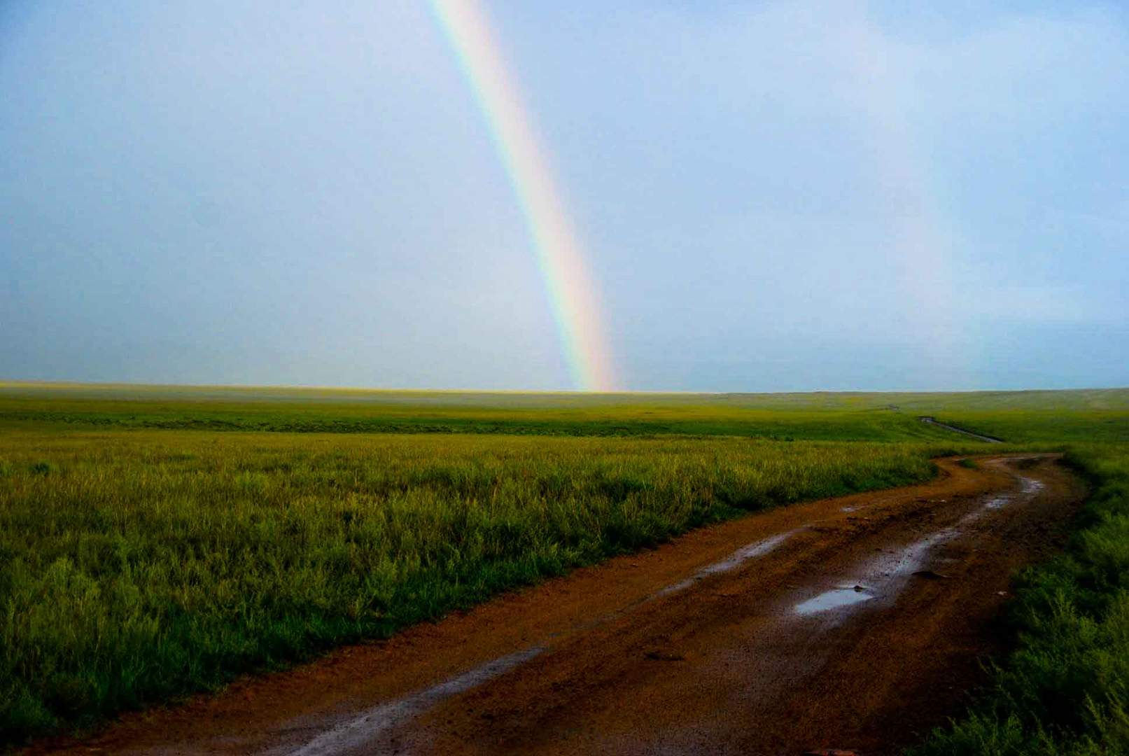 Regenbogen