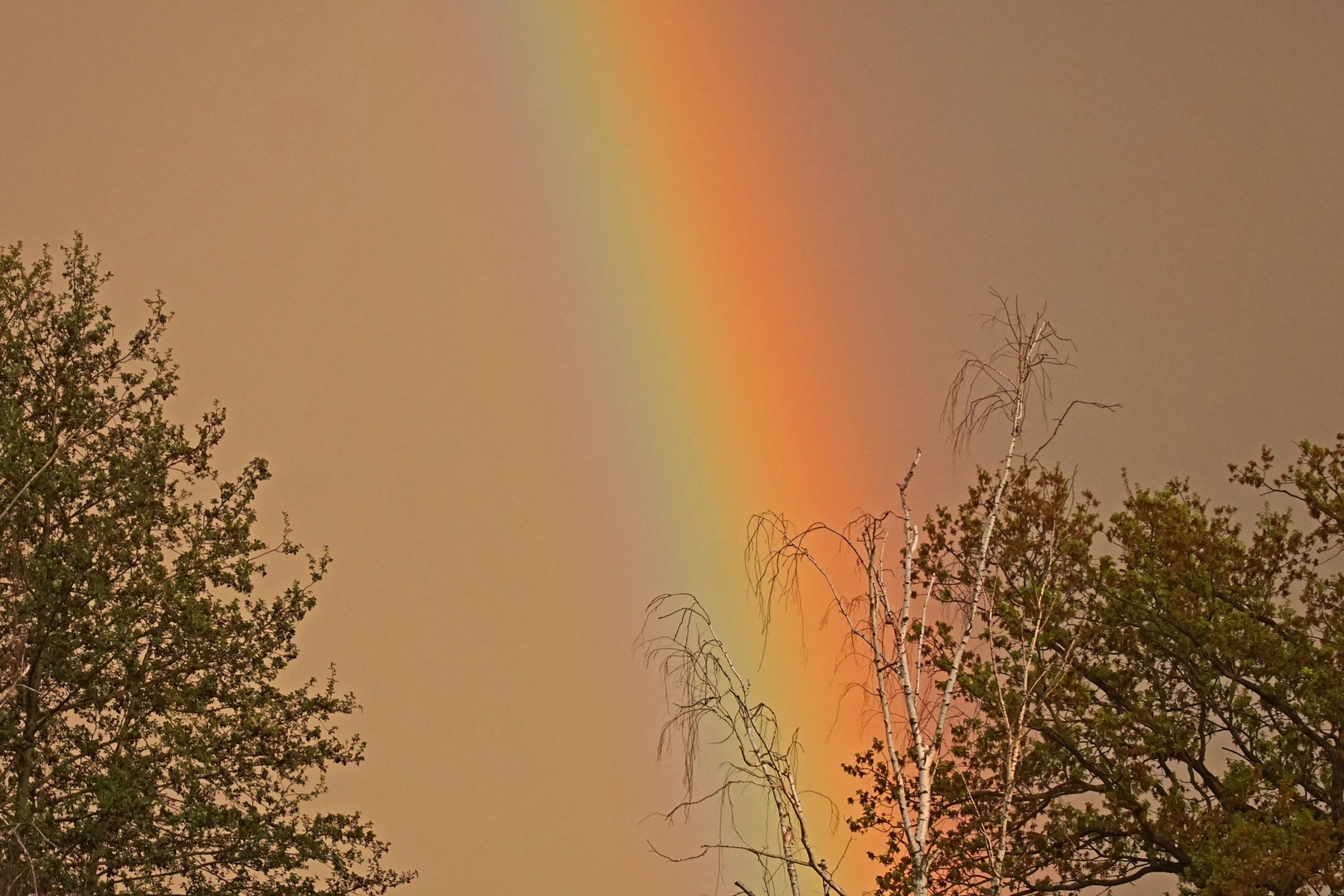 Regenbogen