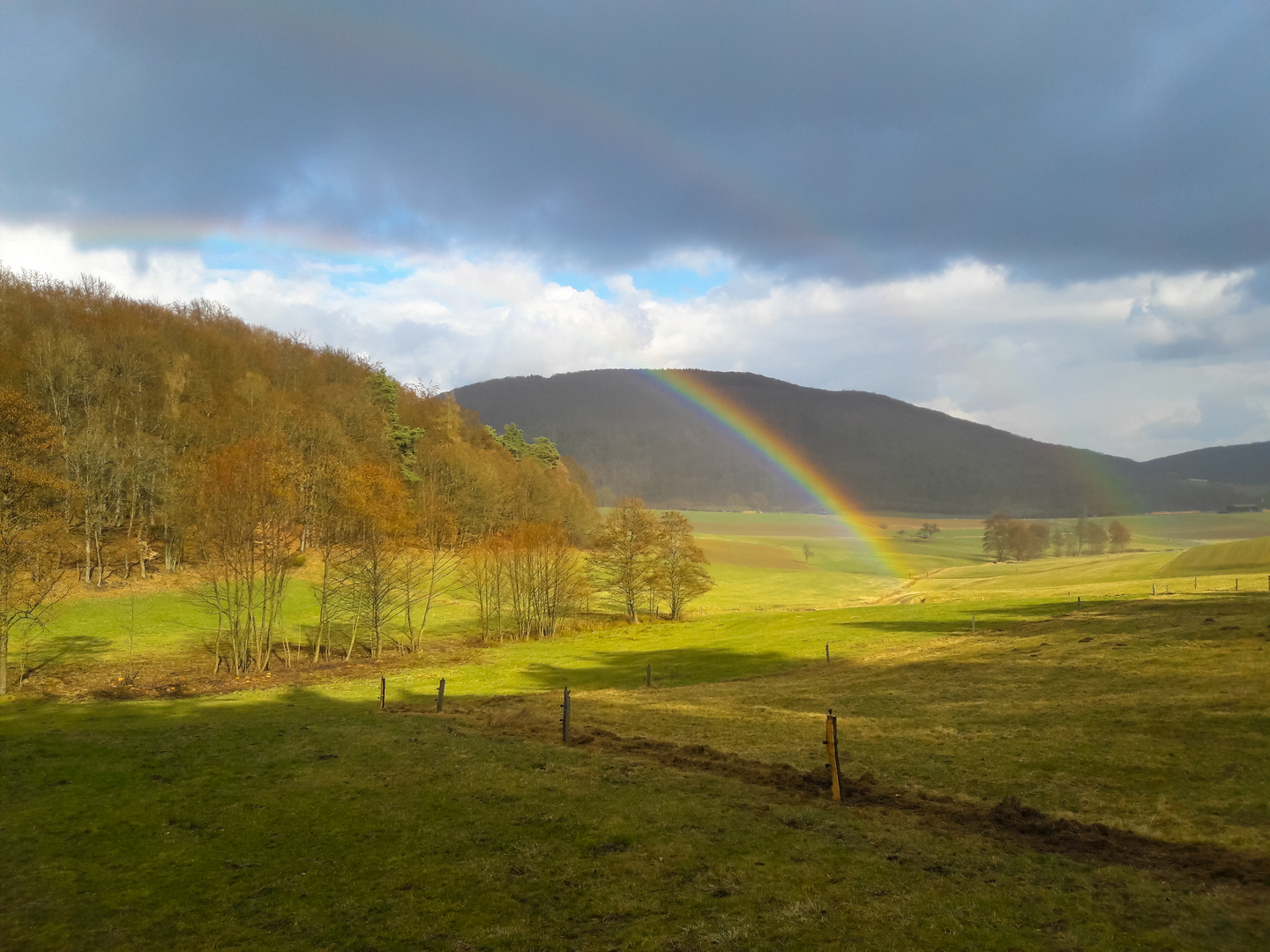 Regenbogen