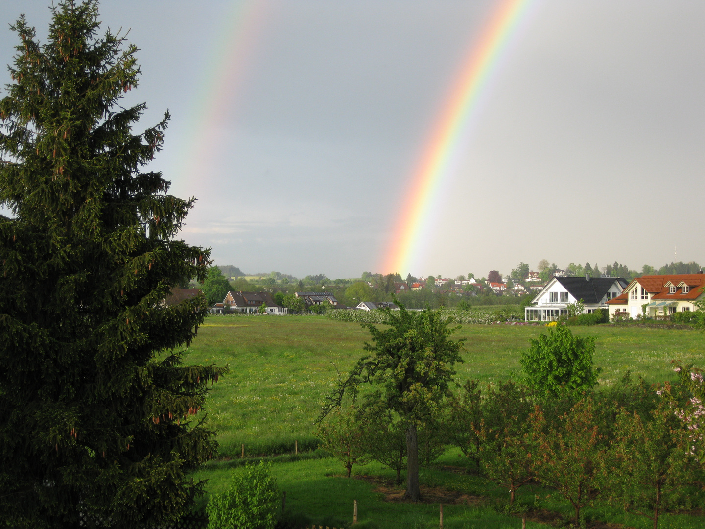 Regenbogen