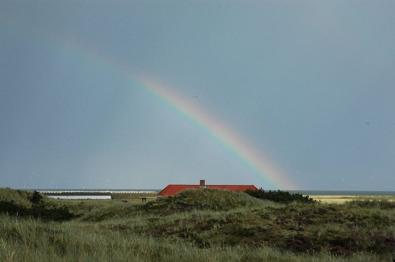 Regenbogen